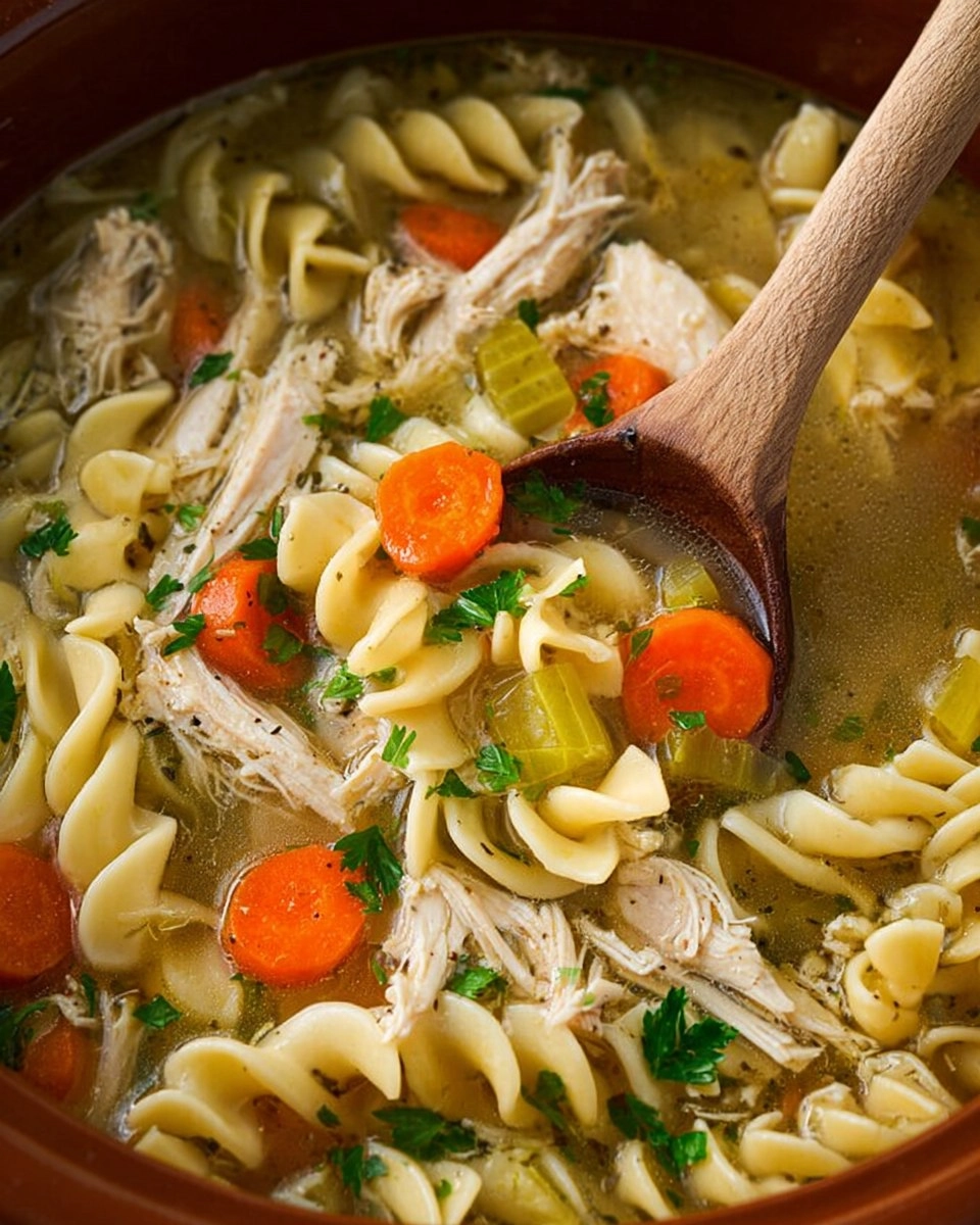 Slow Cooker Chicken Noodle Soup
