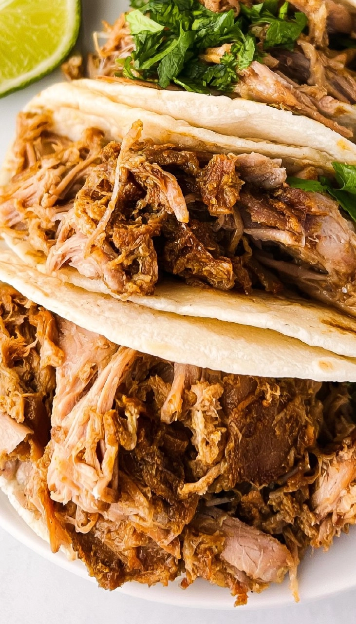 Slow Cooker Carnitas